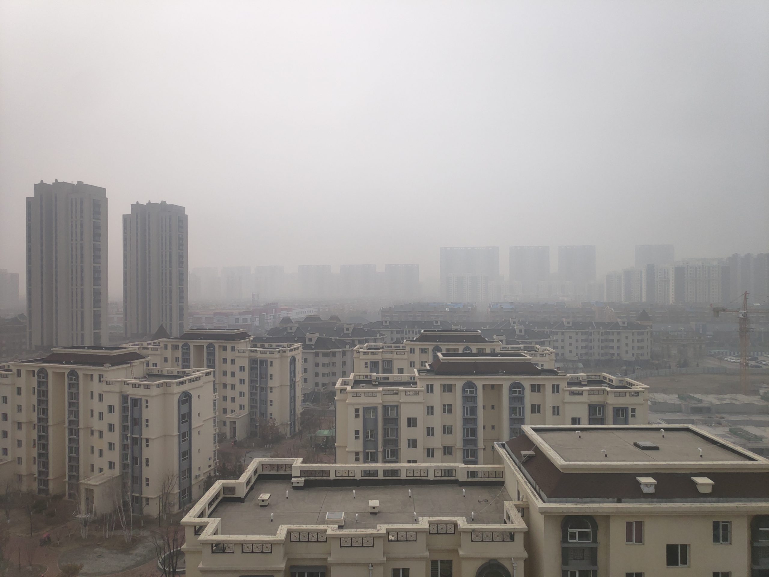 smog miasto smog